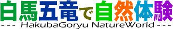 白馬五竜自然体験プラン