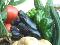 地場産野菜