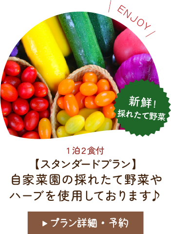 自家菜園の採れたて野菜やハーブを使用しております