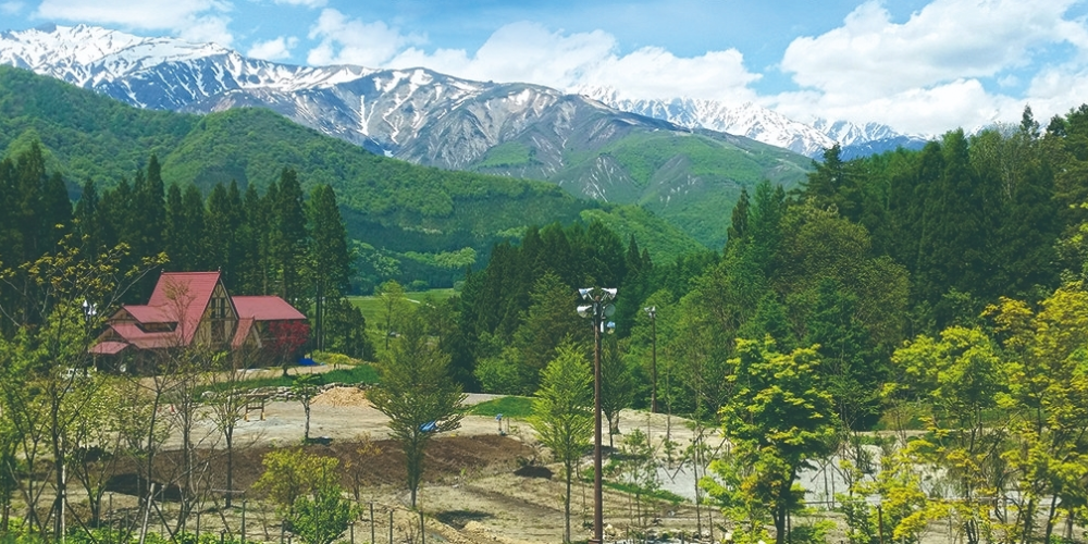 白馬森のわさび農園キャンプ場