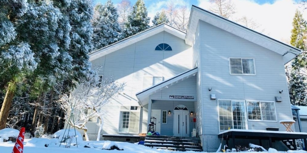 Ｓｎｏｗ　Ｅｌｅｐｈａｎｔ